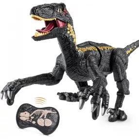   Zdalnie sterowana zabawka dinozaura - efekty świetlne i dźwiękowe, tryb demo, długość 30cm, długi czas zabawy - czarny